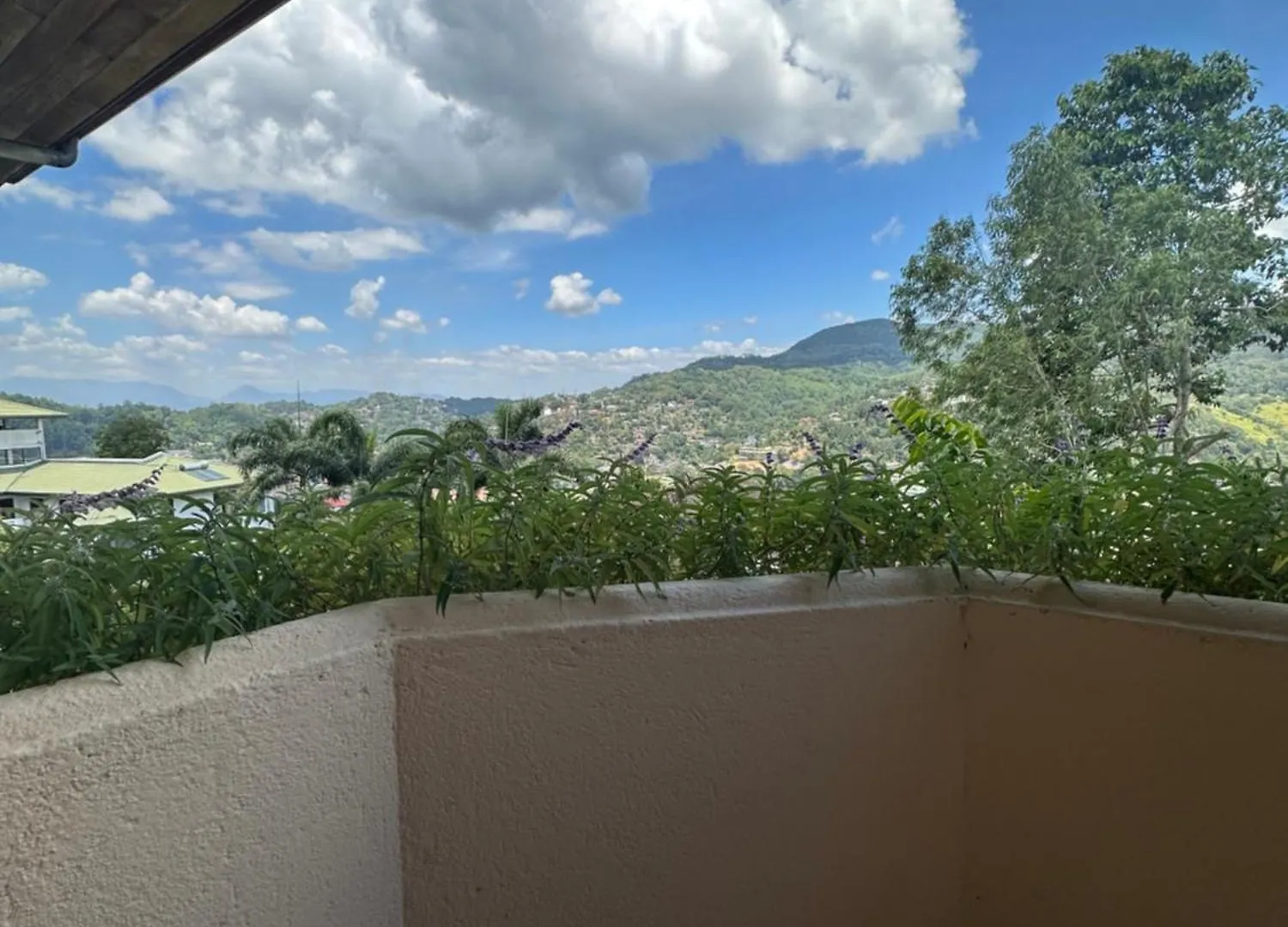 The Views Kandy - 360 Mountain View Homestay